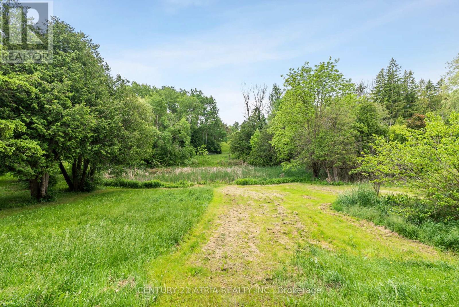 1293 Stouffville Road, Richmond Hill, Ontario  L4E 3S5 - Photo 5 - N12215080