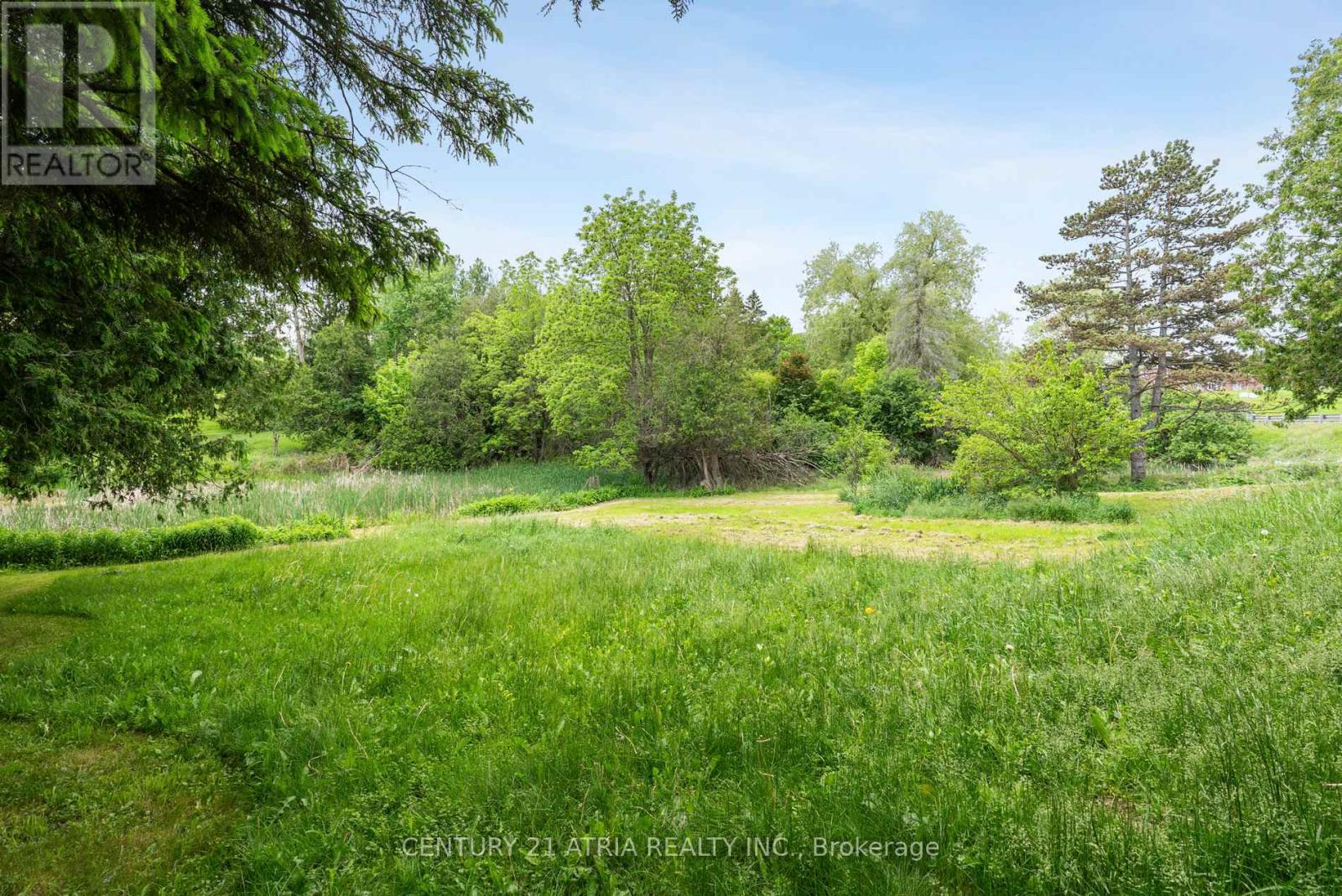 1293 Stouffville Road, Richmond Hill, Ontario  L4E 3S5 - Photo 6 - N12215080