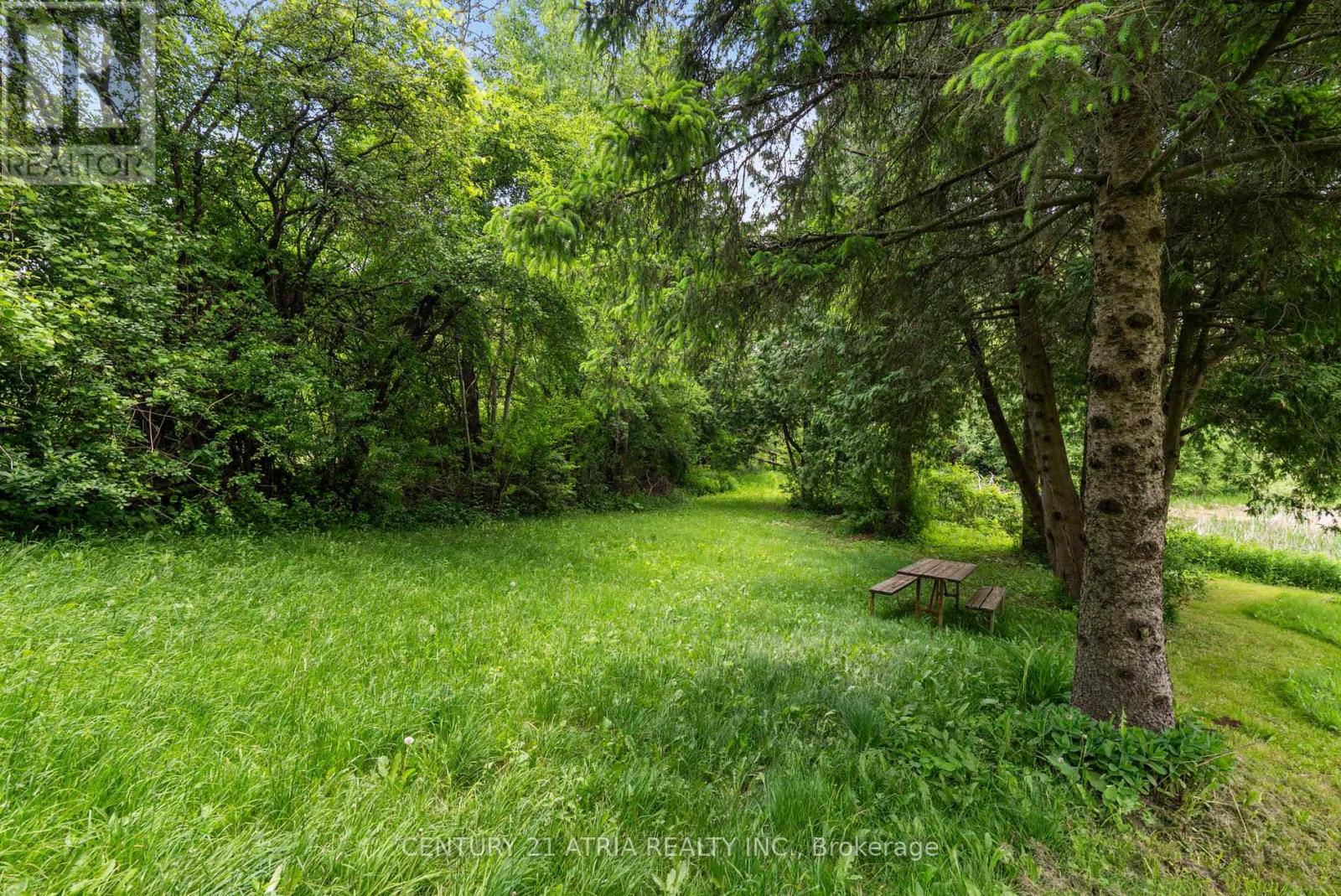 1293 Stouffville Road, Richmond Hill, Ontario  L4E 3S5 - Photo 7 - N12215080